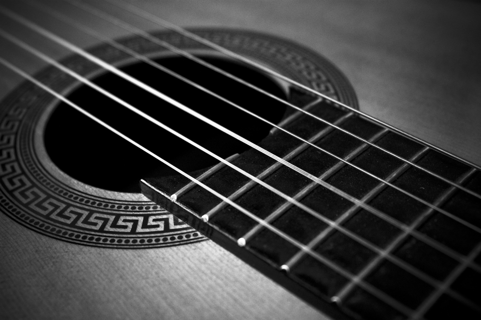 Music black and white guitar acoustic