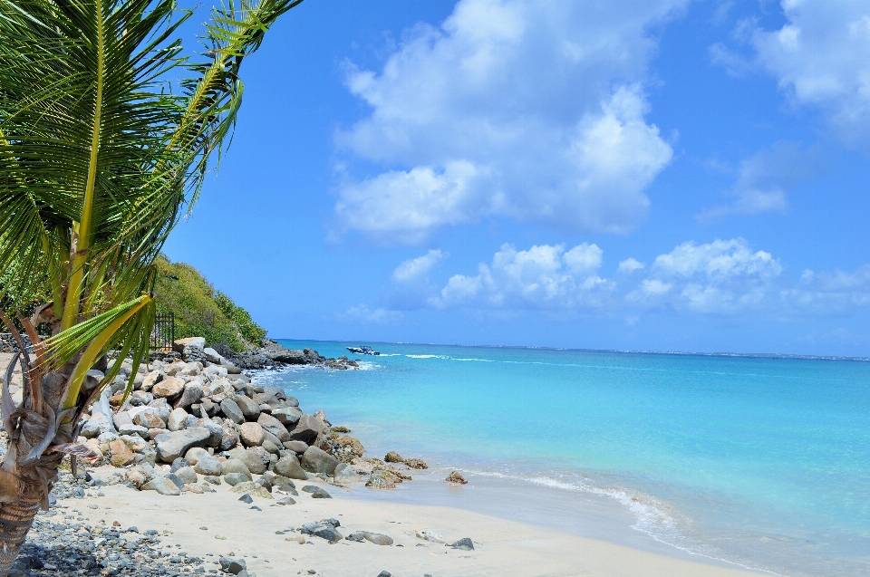 Beach sea coast nature