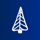 Christmas tree Icon