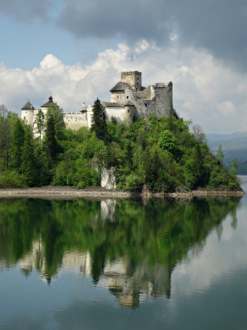 пейзаж дерево вода озеро