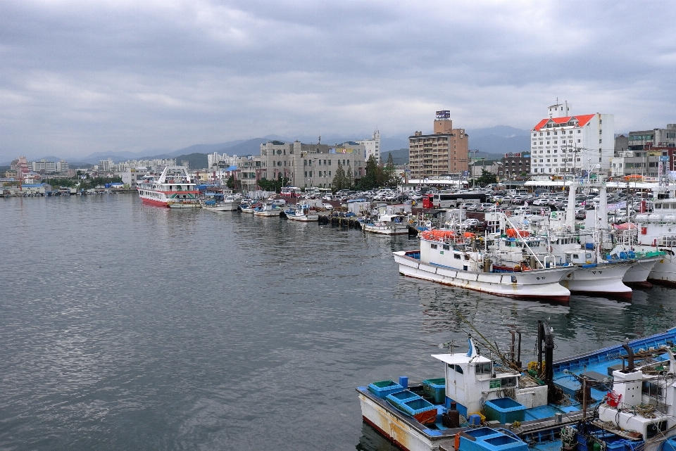 海滩 海 海岸 自然