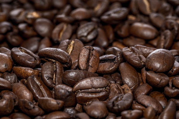 コーヒー コーヒー豆
 生産 飲む 写真