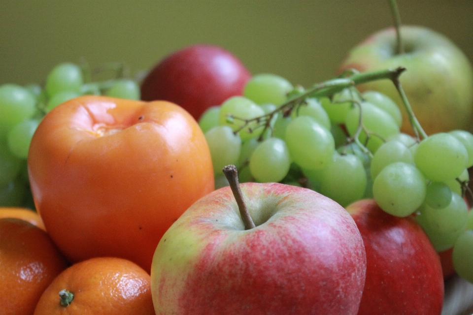 Apple plantar fruta comida