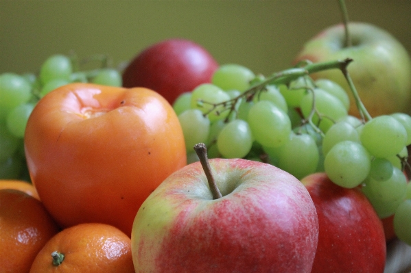 Photo Apple usine fruit nourriture