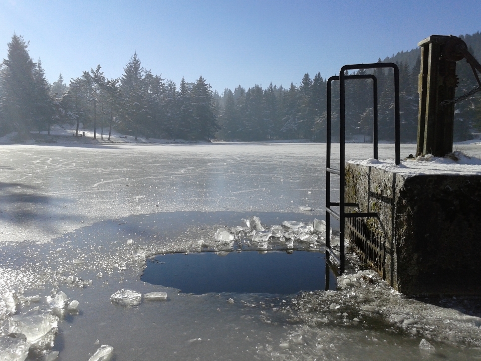 Water nature forest snow