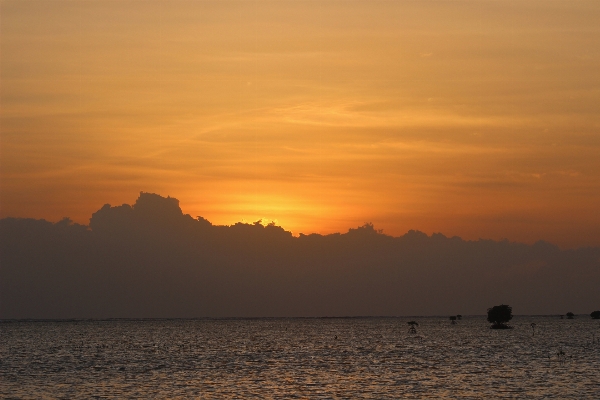 Beach sea coast nature Photo