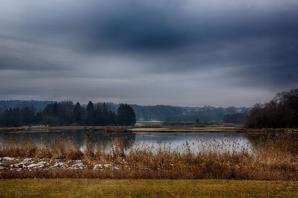 Landscape tree water nature Photo