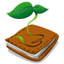 Book Icon