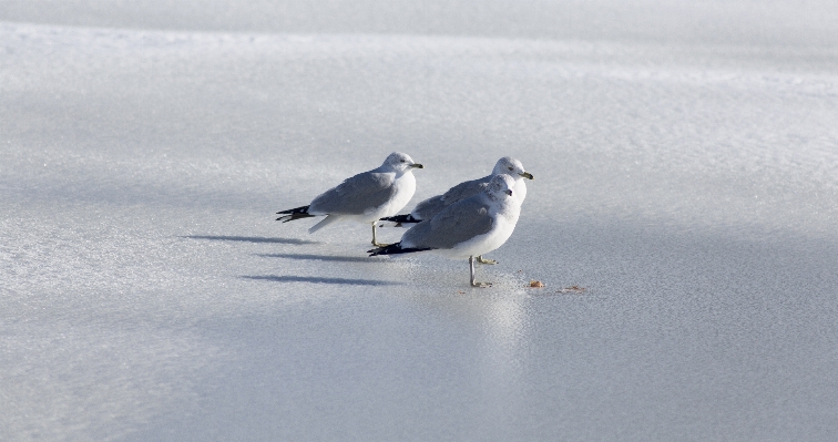 Sea coast water nature Photo