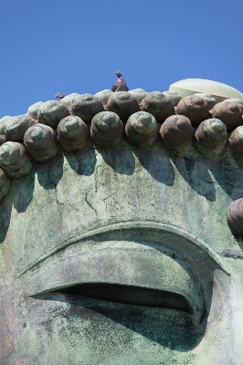 Rock 鳥 記念碑 静けさ
 写真