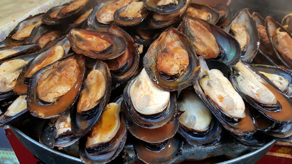 Comida frutos do mar peixe invertebrado