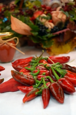 Plant dish food pepper Photo