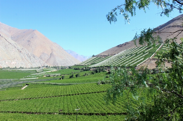 Landscape mountain people field Photo