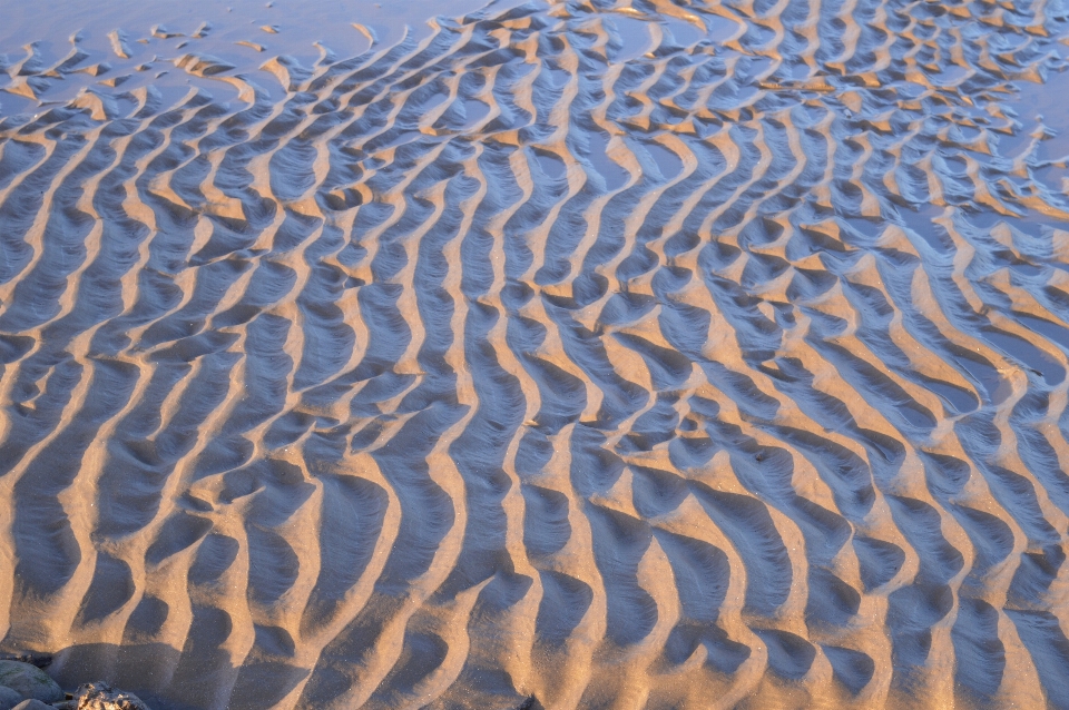 Strand landschaft küste wasser