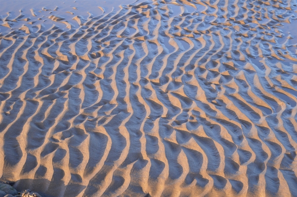 Beach landscape coast water Photo