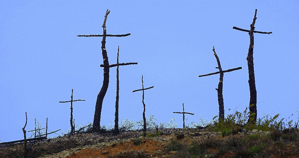 Pradera
 molino viento símbolo