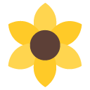 Flower Icon