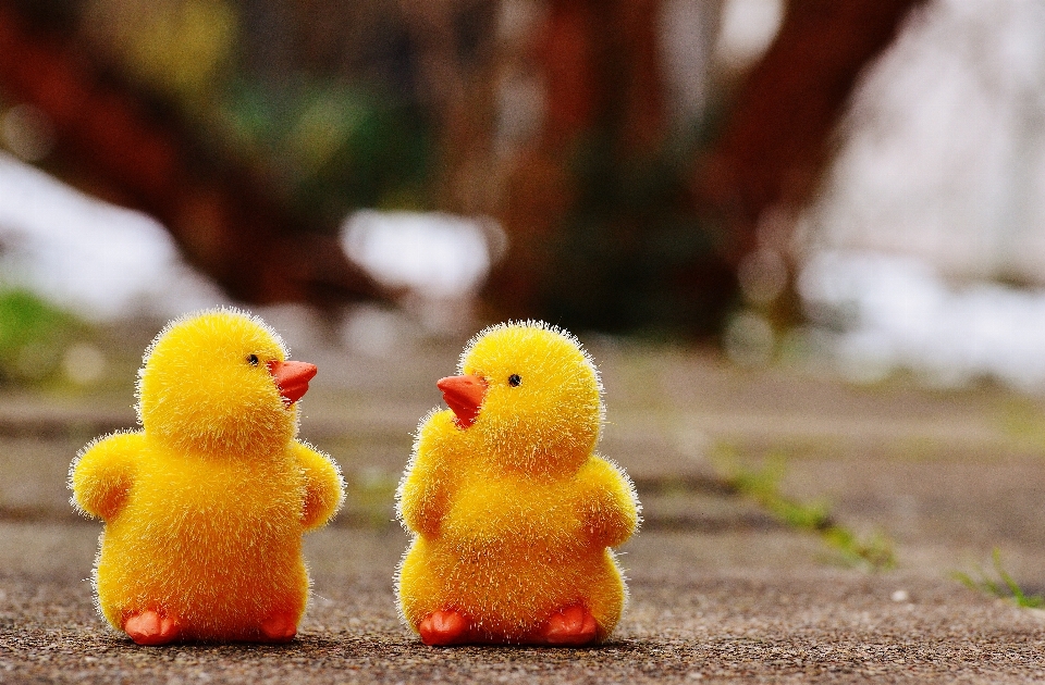 Oiseau doux fleur mignon