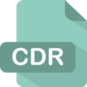 Cdr Icon