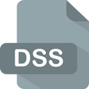 Dss Icon