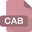 Cab Icon