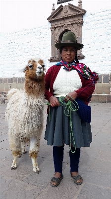 Foto Cidade viagem américa mamífero