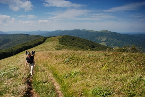 Landscape nature grass wilderness Photo