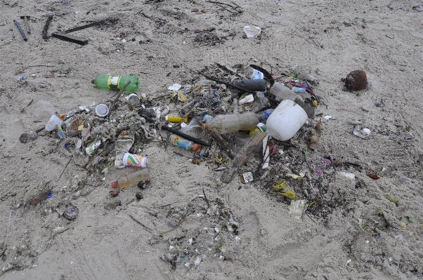 Beach soil material litter Photo