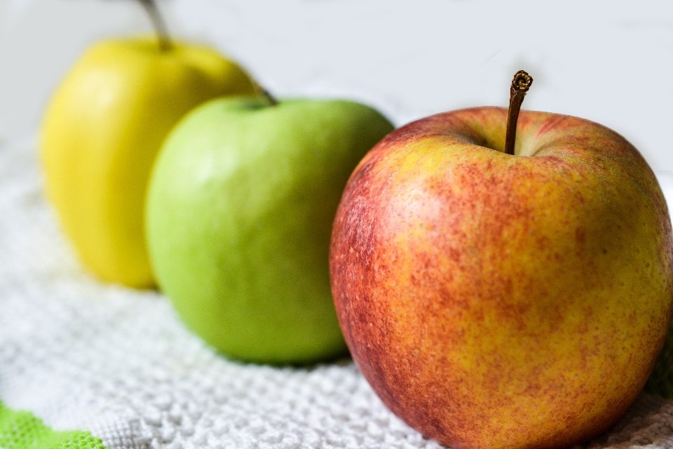 Apple plant fruit food