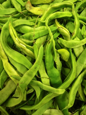 Foto Plantar comida verde produzir