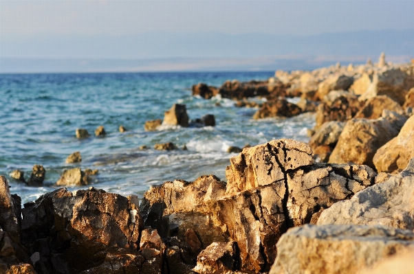 Beach sea coast sand Photo