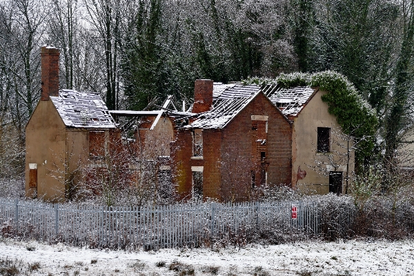 Tree snow winter architecture Photo