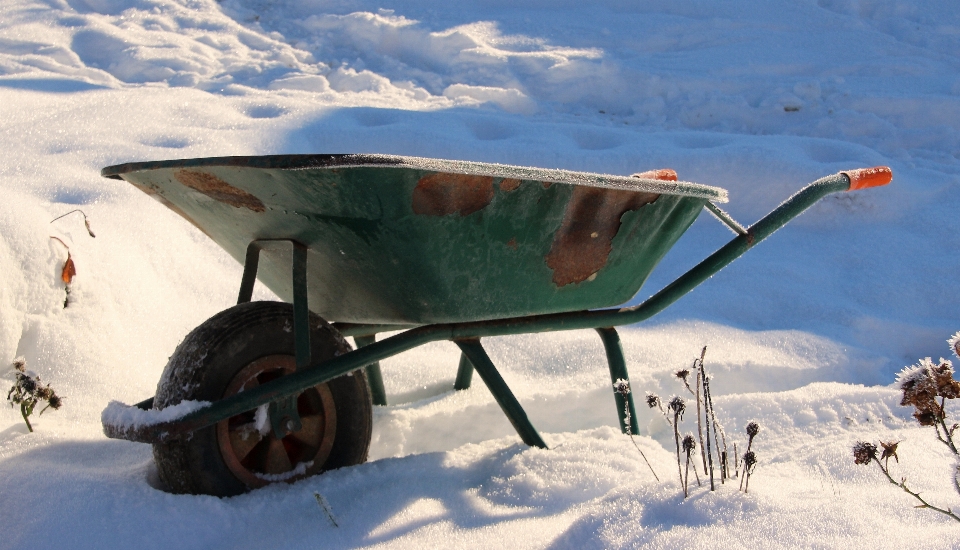 雪 冬 年 車両