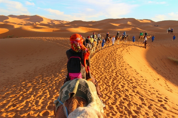 Foto Paisagem areia deserto duna
