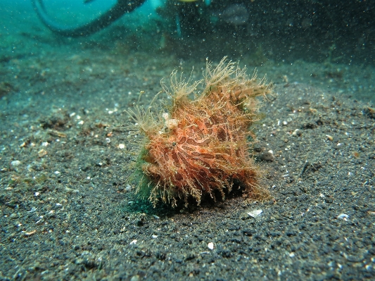 海 水 自然 海洋 写真