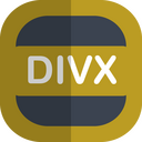 Divx Icon