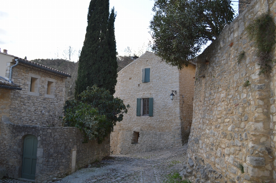 Casa prédio castelo
 vila