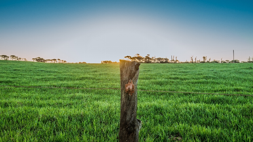 Paisaje naturaleza césped horizonte