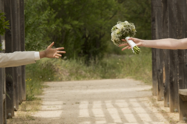 Love spring wedding separation Photo