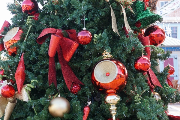 Tree band decoration green Photo