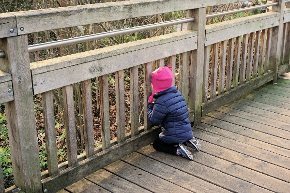 Fence deck wood bridge Photo