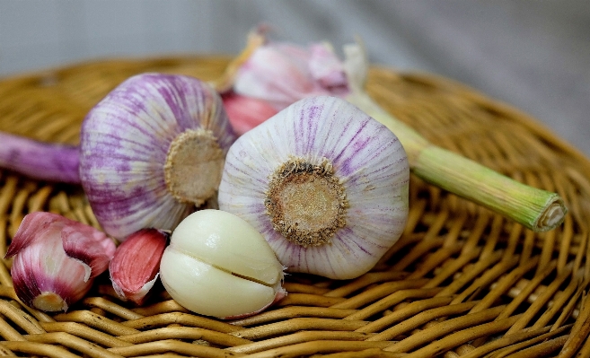 Plant flower petal food Photo