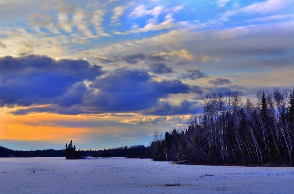 Landscape tree nature horizon Photo