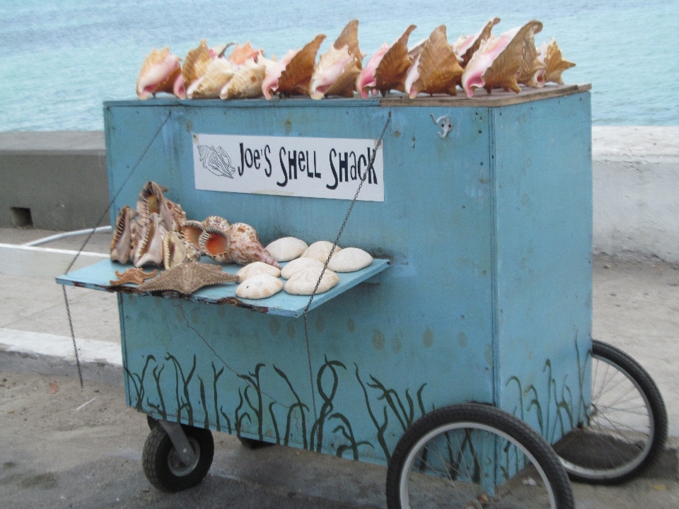 Laut keranjang liburan turis