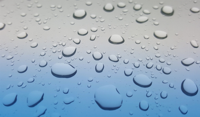 Water drop rain leaf Photo