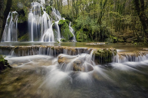 Water nature forest waterfall Photo