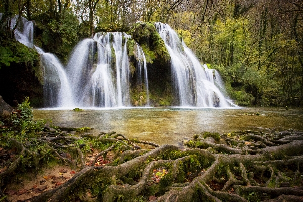 Landscape tree water nature Photo