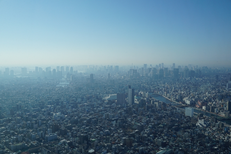 地平線 空 霧 スカイライン