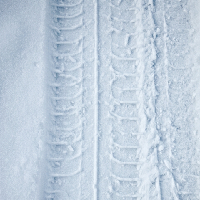 雪 冬 追跡 白