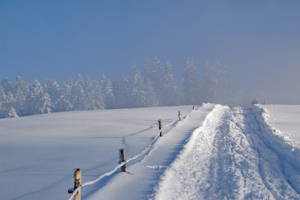 Nature mountain snow cold Photo